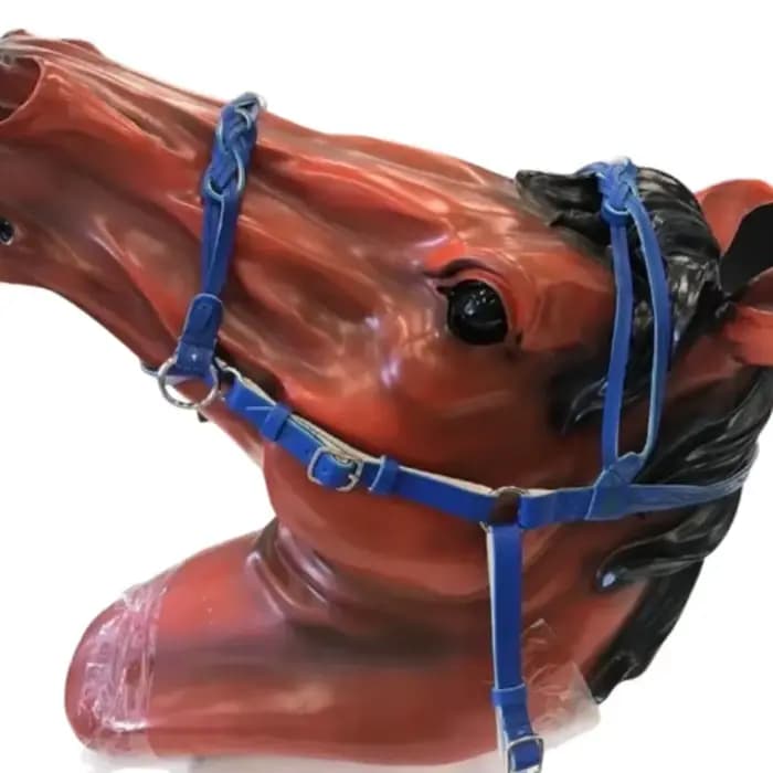 Bridon et Licol en Cuir PU avec Boucle Métallique pour Protéger la Peau du Cheval, Harnais de Condui
