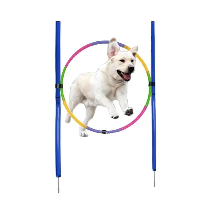 Équipement d'entraînement d'agilité pour chien, outil de saut portable pour chien, jeu de course en 