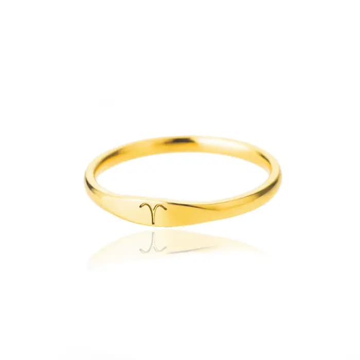 Petite bague signe du zodiaque pour femmes, bague du zodiaque en acier inoxydable plaqué or, Constel