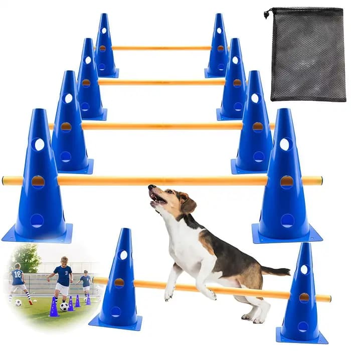 Ensemble d'obstacles et de cônes d'agility pour chien, parcours d'obstacles réglable pour la cour, équipement d'entraînement pour chiots de petite, moyenne et grande race