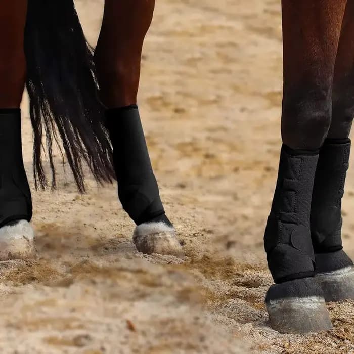 Ensemble de bottes de Sport colorées pour chevaux, enveloppes de jambes de cheval durables et respirantes, faciles à porter, protection confortable des jambes arrière avant, 4 pièces/ensemble