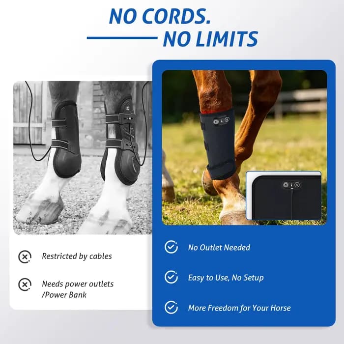 Bottes de soutien pour jambes de chevaux à LED infrarouges sans fil, 105 LED, pour thérapie par lumière rouge, avec minuterie, pour la récupération et la performance équine