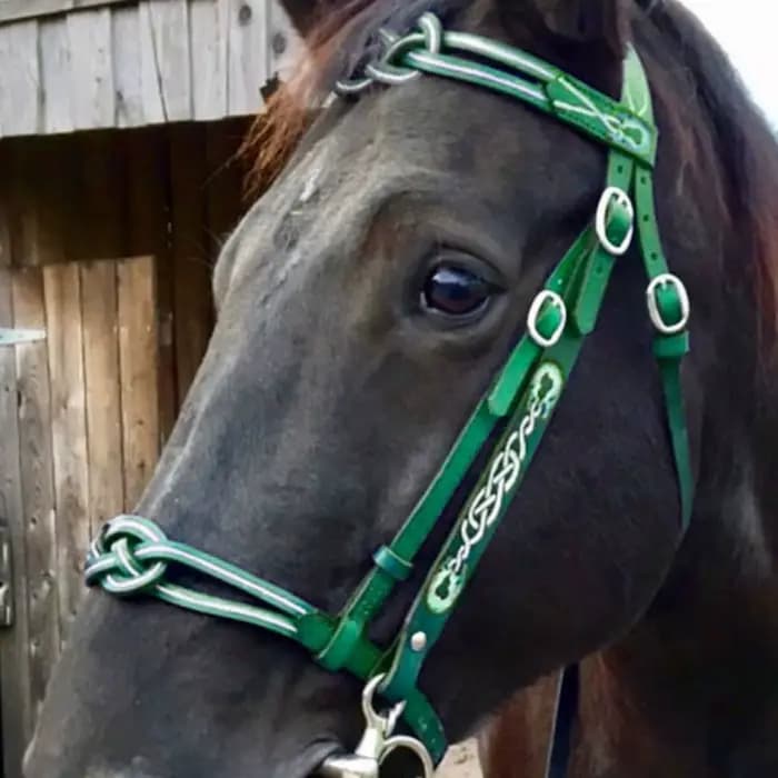 Bridon et Licol en Cuir PU avec Boucle Métallique pour Protéger la Peau du Cheval, Harnais de Conduite Confortable et Réglable pour Cheval