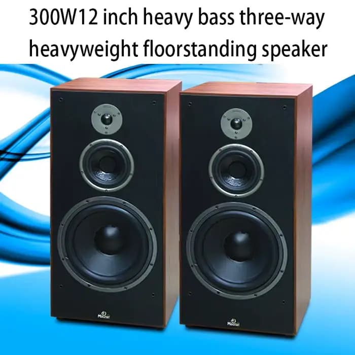 Nouvelle enceinte bibliothèque Hi-Fi 300W 12 pouces