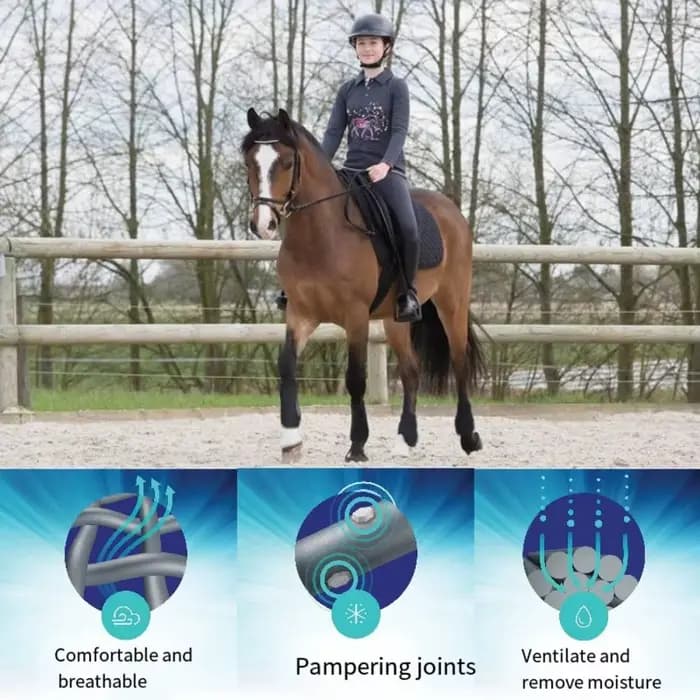 Ensemble de bottes de Sport colorées pour chevaux, enveloppes de jambes de cheval durables et respirantes, faciles à porter, protection confortable des jambes arrière avant, 4 pièces/ensemble