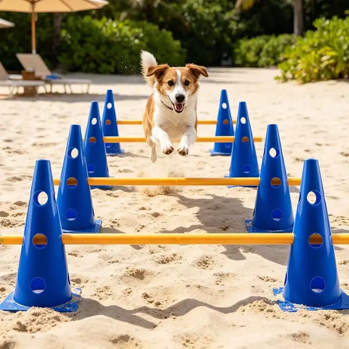 Ensemble d'obstacles et de cônes d'agility pour chien, parcours d'obstacles réglable pour la cour, équipement d'entraînement pour chiots de petite, moyenne et grande race