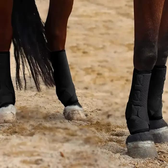 Protège-jambes professionnel réglable pour le saut, bottes de cheval, couvre-jambes, support, protection pour l'entraînement, accessoires équestres, 4 pièces