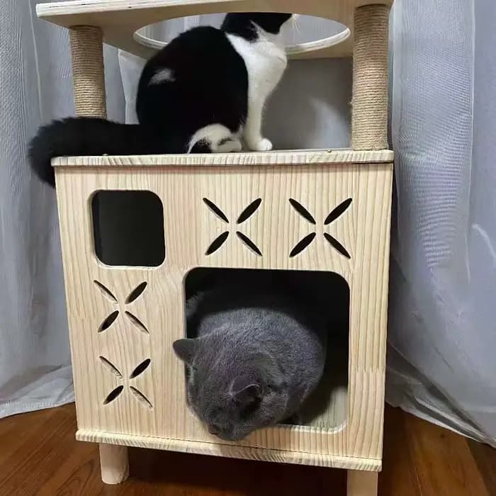 Arbre à chat pour chats d'intérieur, structure d'escalade en bois de pin massif, poteau à gratter en corde de sisal naturelle, mobilier pour chat peu encombrant