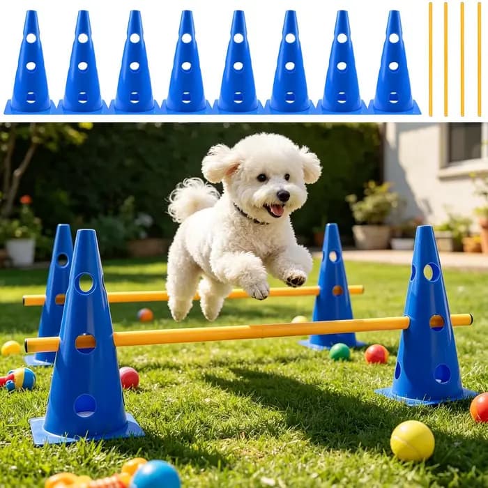 Ensemble d'obstacles et de cônes d'agility pour chien, parcours d'obstacles réglable pour la cour, équipement d'entraînement pour chiots de petite, moyenne et grande race