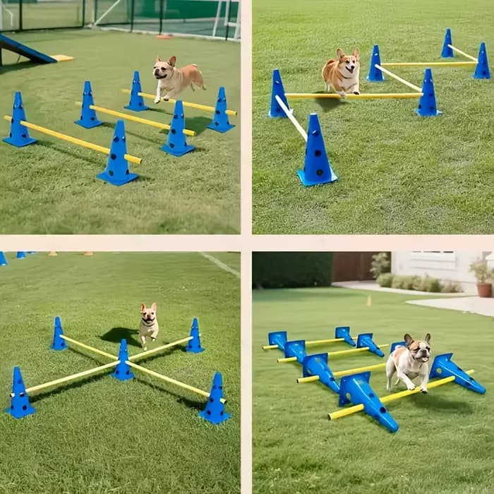 Ensemble d'équipements d'agility pour chiens avec seau perforé et support de barrière