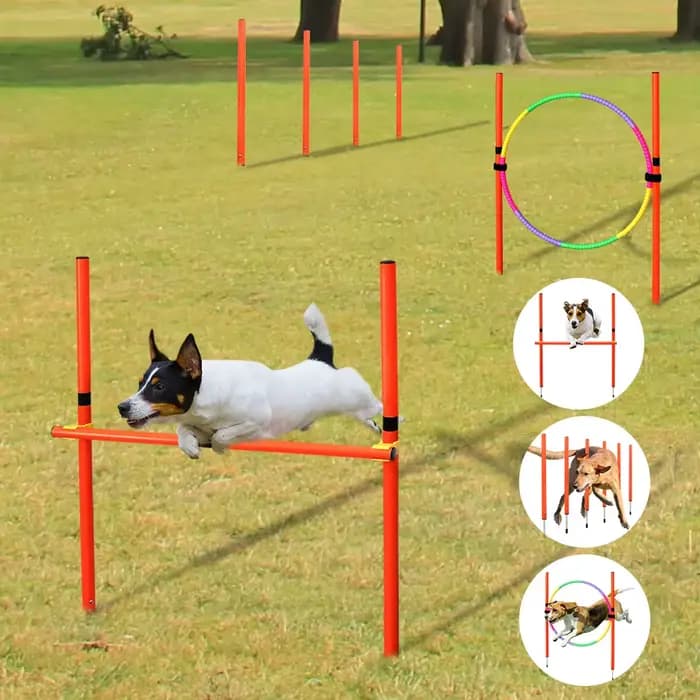 Équipement d'entraînement à l'agilité pour chien, outil de saut Portable pour chiens en plein air, piquet de course, piquets de sport, ensemble d'équipement d'agilité pour animaux de compagnie