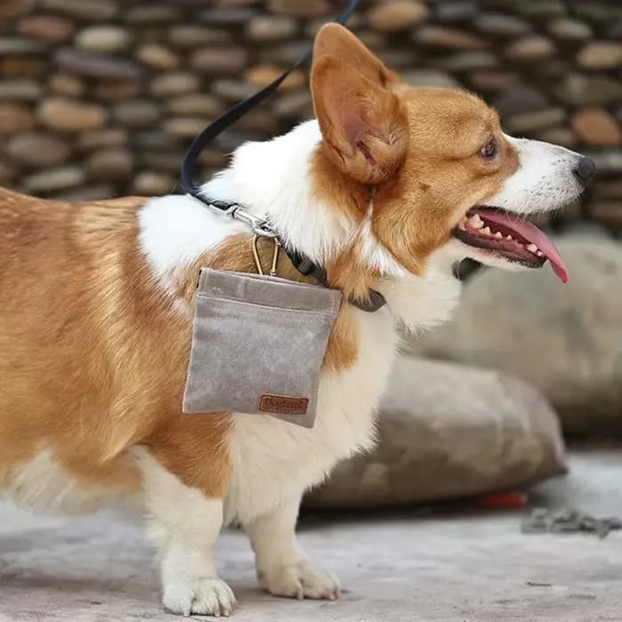 Sac à friandises pour l'entraînement des chiens, sac de voyage pour animaux de compagnie, pochette portable résistante à l'huile, distributeur de nourriture, accessoires durables pour animaux de compa