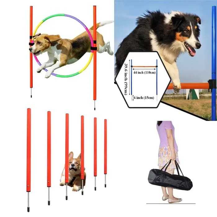 Équipement d'agilité pour chiens, outil de saut portable pour chiens, piquet de course pour chiens en extérieur, piquets sportifs, ensemble d'équipement d'agilité pour animaux de compagnie