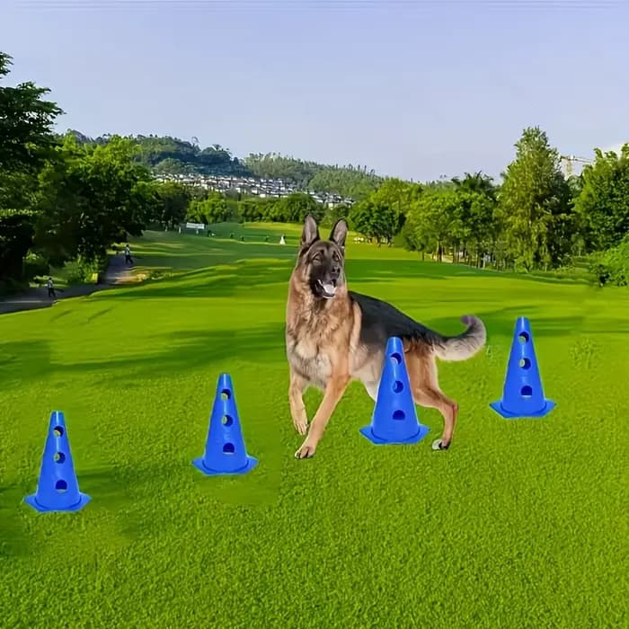 Ensemble d'équipements d'agility pour chiens avec seau perforé et support de barrière