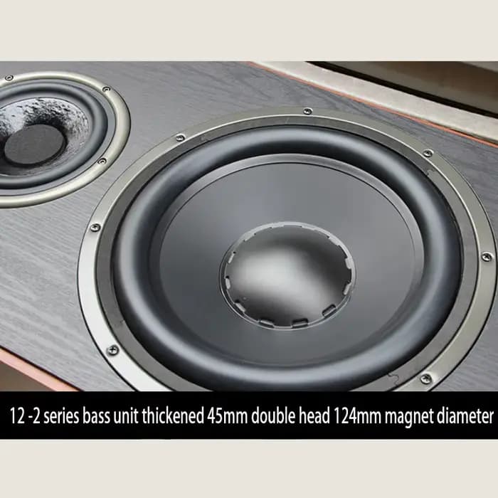 Nouvelle enceinte bibliothèque Hi-Fi 300W 12 pouces