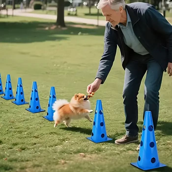 Ensemble d'équipements d'agility pour chiens avec seau perforé et support de barrière
