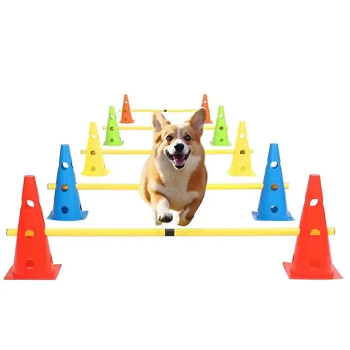 Kit d'entraînement d'agilité pour animaux de compagnie, barre de saut, équipement d'entraînement aux obstacles pour chiens, dispositif d'entraînement aux obstacles, fournitures pour animaux de compagn