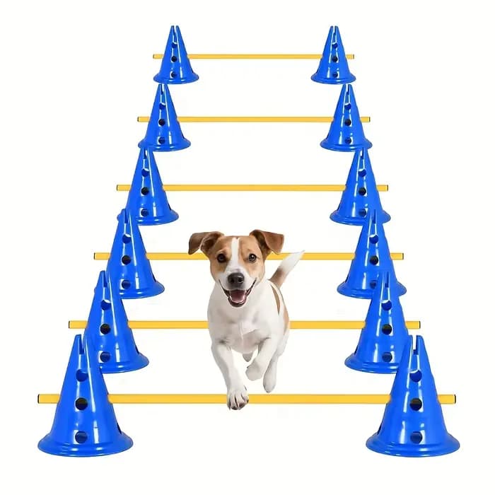 Ensemble d'équipements d'agility pour chiens avec seau perforé et support de barrière