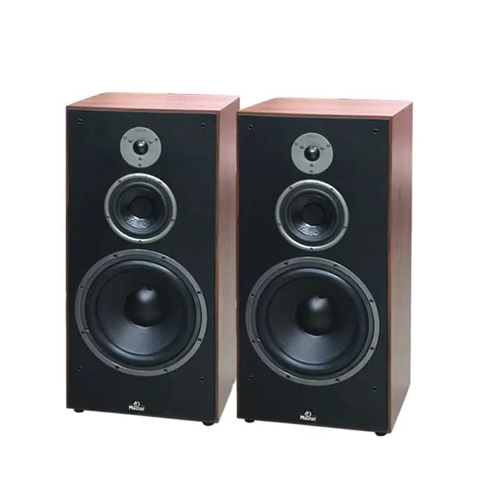 Nouvelle enceinte bibliothèque Hi-Fi 300W 12 pouces