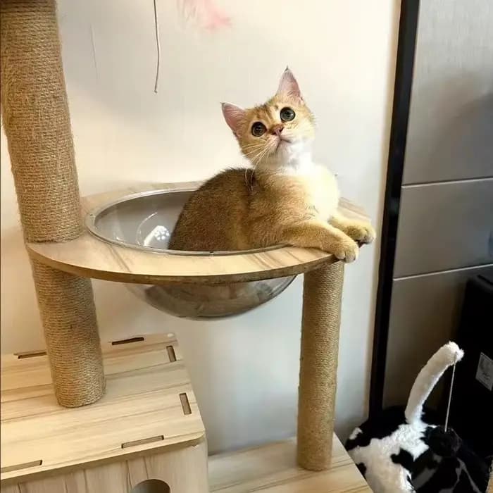 Accessoires de remplacement pour arbre à chat DIY : Poteaux de griffage pour animaux de compagnie, piliers en tube de carton rigide avec cordes en sisal