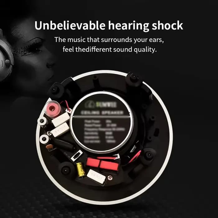 Système audio domestique