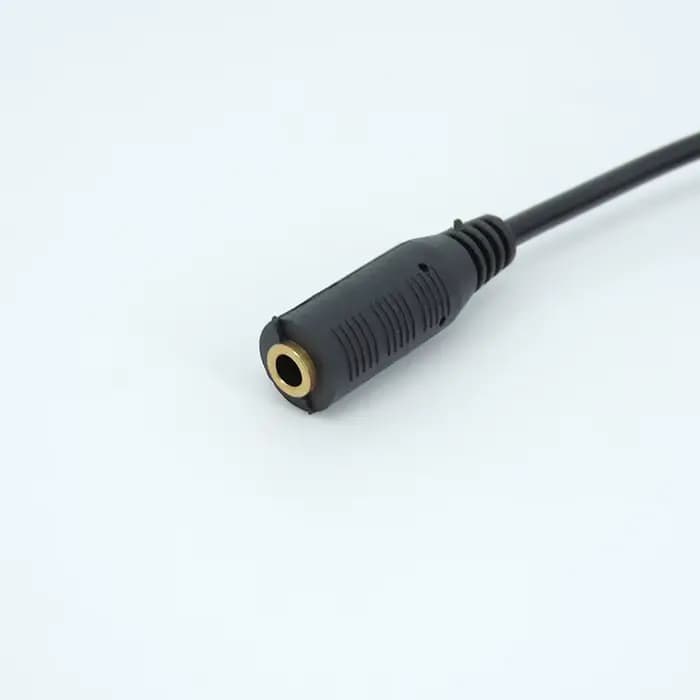 Câble d'extension audio