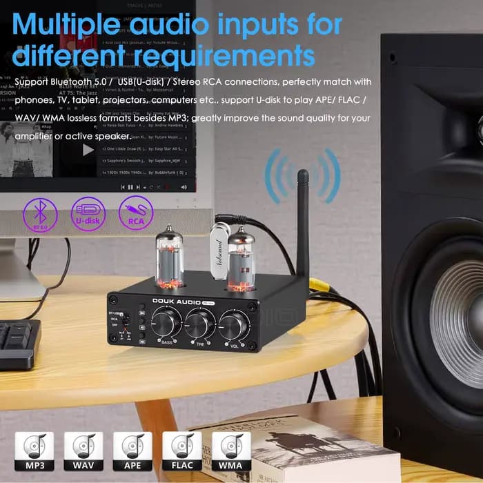 Douk Audio-Préampli à Tube à Valve HiFi Bluetooth 5.0