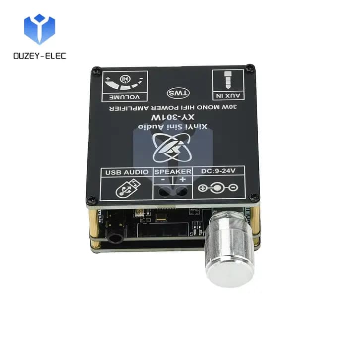 Amplificateur BT DC 9-24V XY-301W Mono 30W