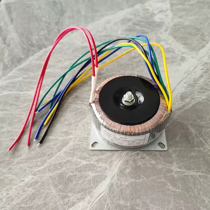 Amplificateur de haut-parleur audio à onde toroïdale, 30W, 40W, 50W, 220V