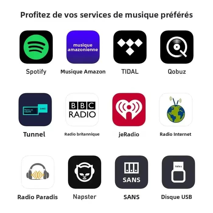 Nouveau Arylic S10 + WiFi et Bluetooth 5.0 amplificateur Audio stéréo HiFi avec Tadil Airplay DLNA préamplificateur