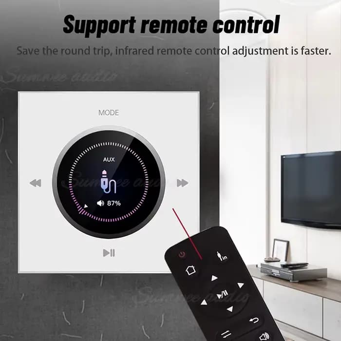 Amplificateur de puissance mural pour audio domestique