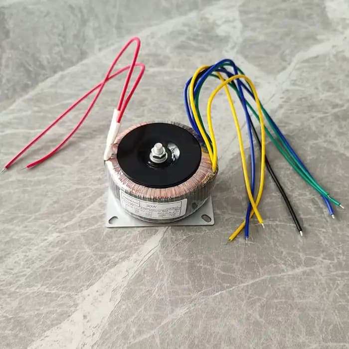 Amplificateur de haut-parleur audio à onde toroïdale, 30W, 40W, 50W, 220V