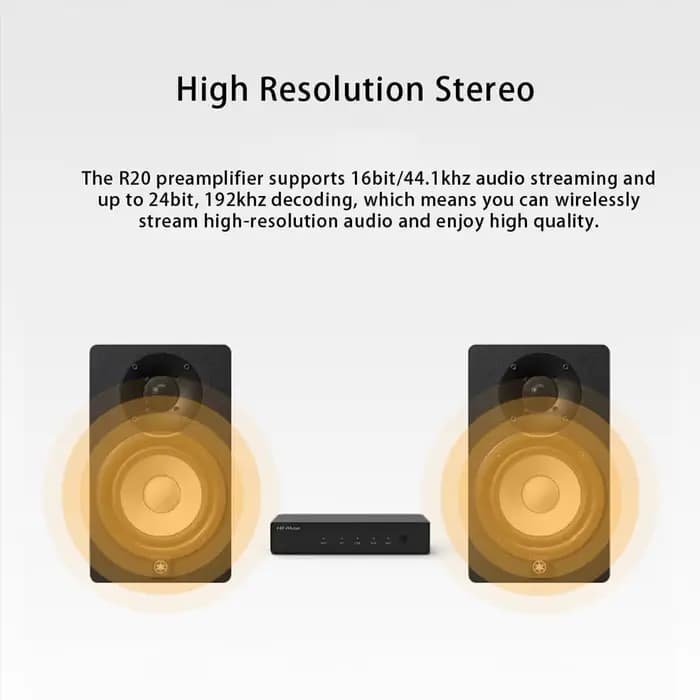 HiFiMuse R20 Streamer de musique sans fil AirPlay DLNA Spotify Connect récepteur Audio Multiroom avec Bluetooth 5.0 USB DAC AUX WiFi