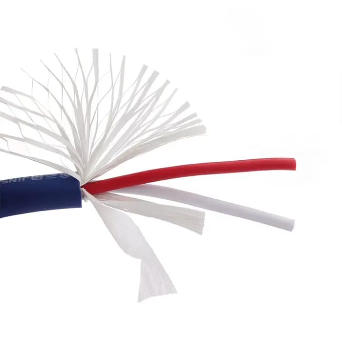 Cordon d'alimentation pour haut-parleur