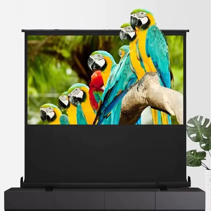 Écran de projecteur Portable