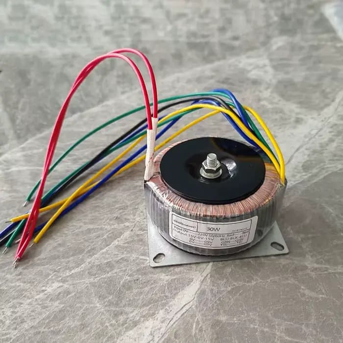 Amplificateur de haut-parleur audio à onde toroïdale, 30W, 40W, 50W, 220V