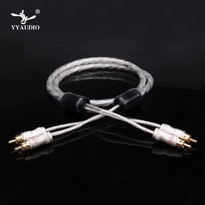 YYAUDIO Liton plaqué argent double anneau de filtre fièvre câble de Signal Audio ligne prise RCA