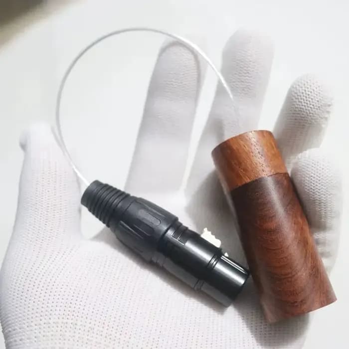 Éliminateur de bruit de boucle de masse GND en bois de rose, purificateur d'alimentation statique Hi