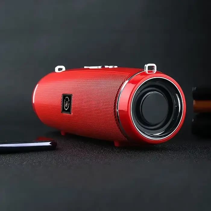 Haut-parleur sans fil Portable