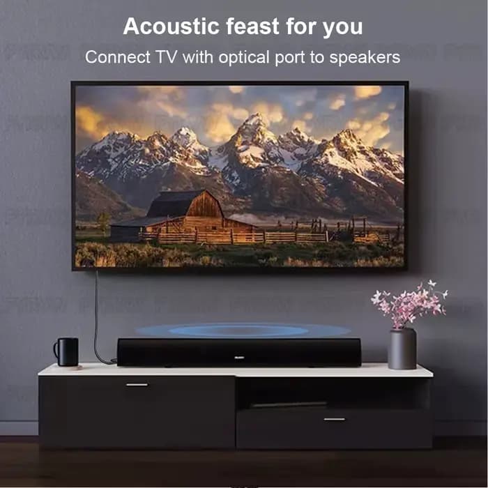 Câble optique SPDIF, cordon Audio numérique