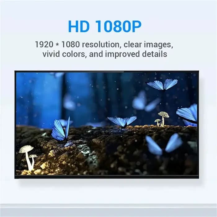 Adaptateur DVI vers HDMI pour PC et budgétaire HDTV