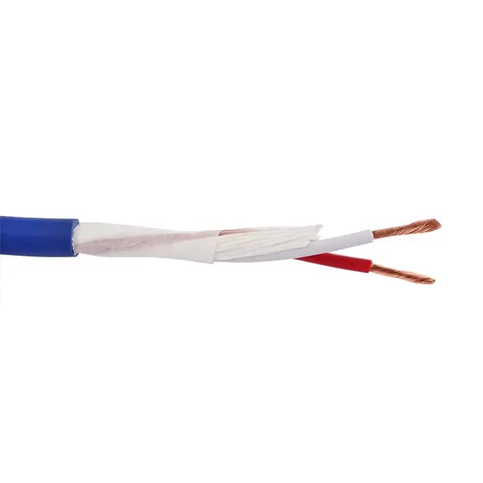 Cordon d'alimentation pour haut-parleur